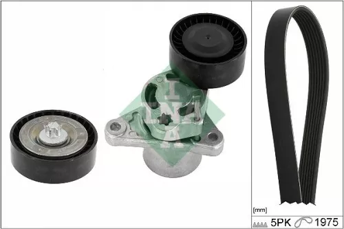V-ribbed Belt Set Schaeffler INA 529 0545 10)