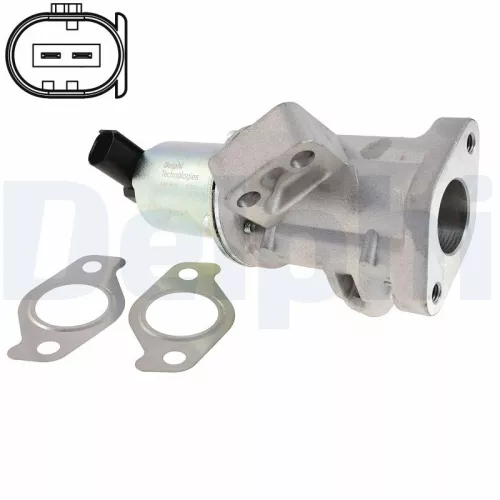 EGR-klep DELPHI EG10618-12B1)