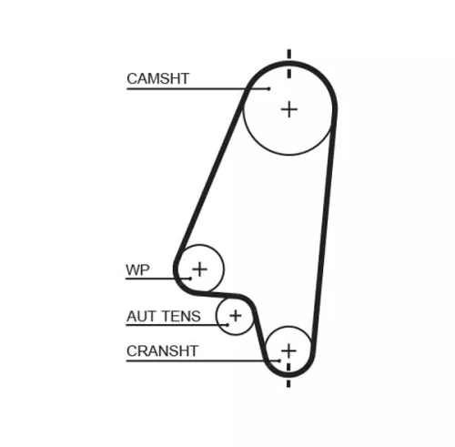 Timing Belt GATES 5310XS)