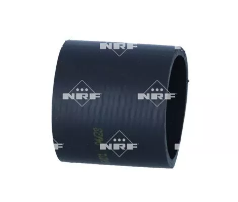 Laadluchtslang NRF 166071)