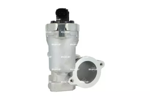 EGR-klep NRF 48667)
