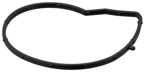 Pakking, waterpomp ELRING 387.590)