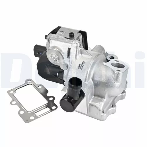 EGR-klep DELPHI EG10579-12B1)