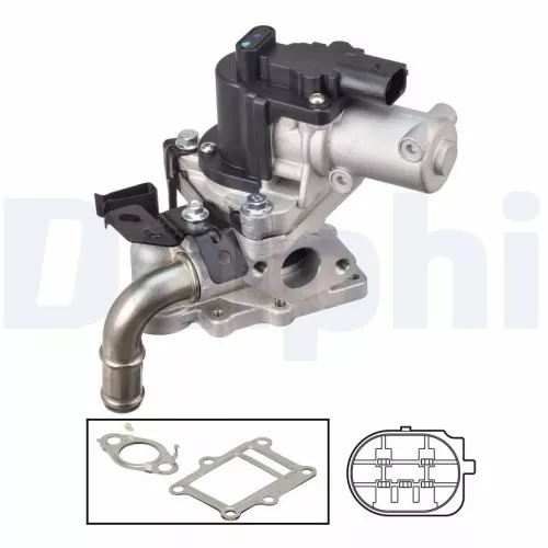 EGR-klep DELPHI EG10613-12B1)