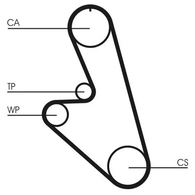 Timing Belt CONTINENTAL CTAM CT959)