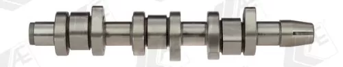 Nokkenas AE CAM673)
