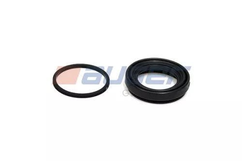 Reparatieset, remklauw AUGER 55815)