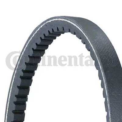 V-Belt CONTINENTAL CTAM 11,9X985Ld)