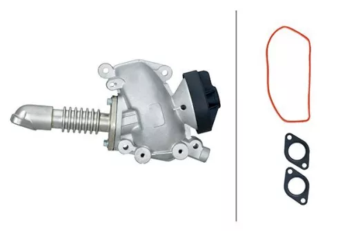 EGR-klep HELLA 6NU 014 865-131)