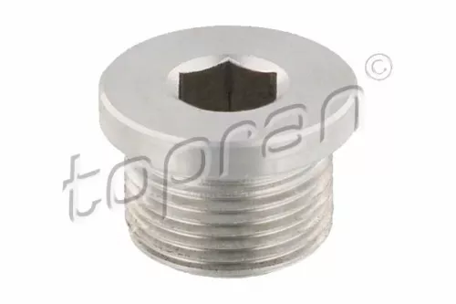 Screw Plug, automatic transmission casing TOPRAN 115 364)