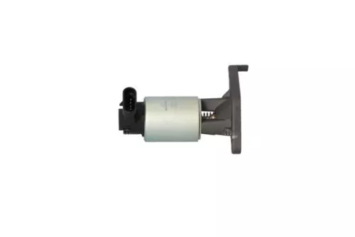 EGR-klep NRF 48343)