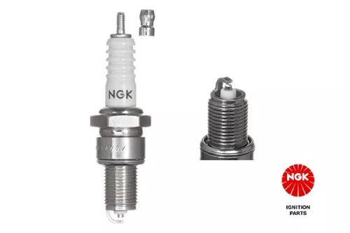 Spark Plug NGK 7811)