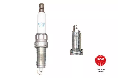 Spark Plug NGK 91874)