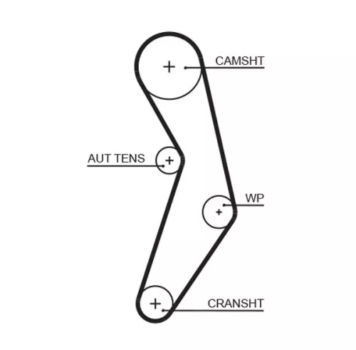 Timing Belt GATES 5503XS)