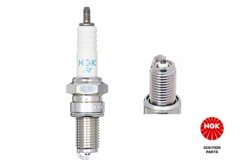 Spark Plug NGK 3123)