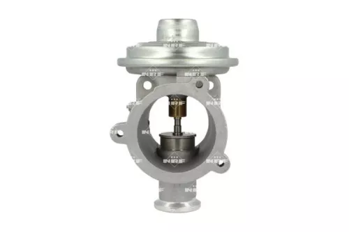 EGR-klep NRF 48691)
