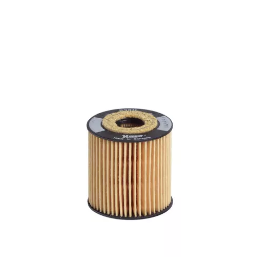 Oil Filter HENGST FILTER E30H D51)