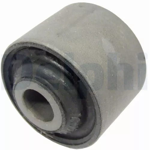 Bushing, axle beam DELPHI TD695W)