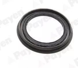 Shaft Seal, wheel hub PAYEN NJ695)