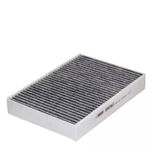 Filter, cabin air HENGST FILTER E5979LC)
