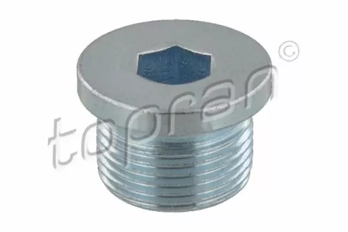 Screw Plug, automatic transmission casing TOPRAN 115 347)