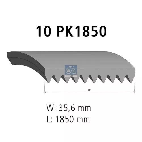 V-geribbelde riem DT Spare Parts 4.80698)