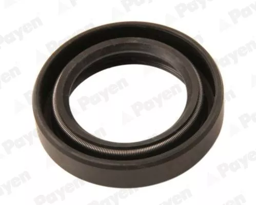 Asafdichting PAYEN NJ849)