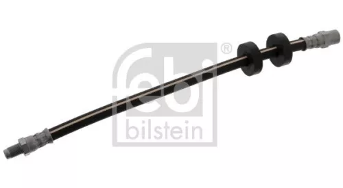 Remslang LPR 01176)