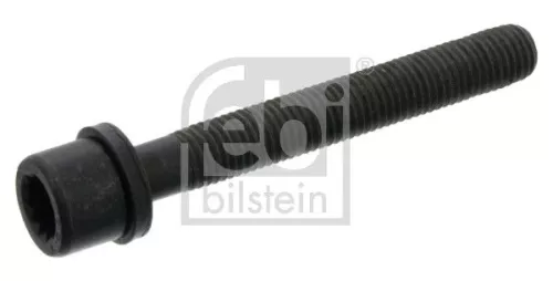 Cilinderkopbout FEBI BILSTEIN 02080)