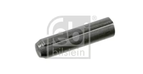 Veerborgpen, remschoen FEBI BILSTEIN 06423)