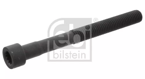 Cilinderkopbout FEBI BILSTEIN 09128)