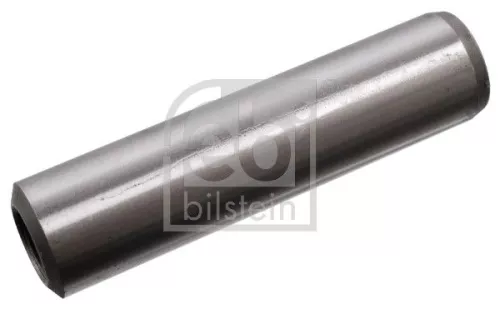 Klepgeleider FEBI BILSTEIN 09863)