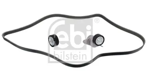 V-geribbelde riemset FEBI BILSTEIN 1003254)
