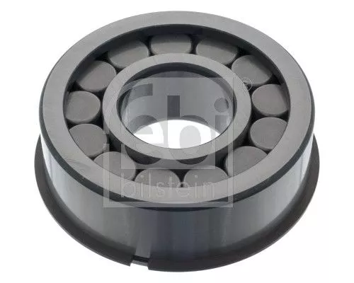 Bearing, differential Airstal 100673)