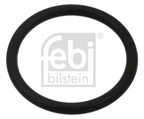 Seal Ring, oil drain plug FEBI BILSTEIN 100999)