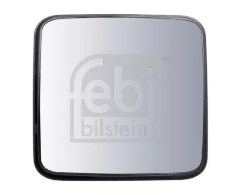 Groothoekspiegel FEBI BILSTEIN 100920)