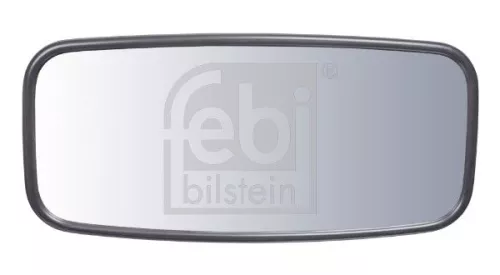 Buitenspiegel, bestuurderscabine FEBI BILSTEIN 101389)