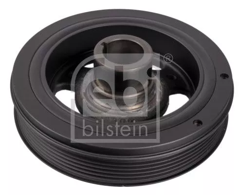 Riempoelie, krukas FEBI BILSTEIN 106269)