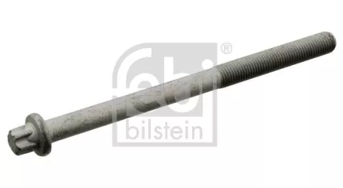 Cilinderkopbout FEBI BILSTEIN 10794)