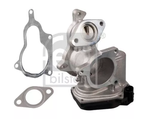 EGR-klep  170327)