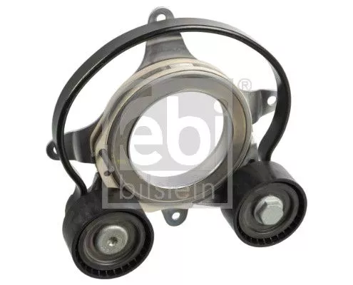 Riemspanner, V-geribbelde riem FEBI BILSTEIN 170250)