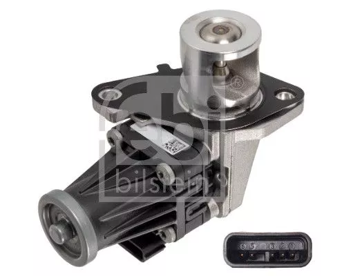 EGR-klep FEBI BILSTEIN 174586)