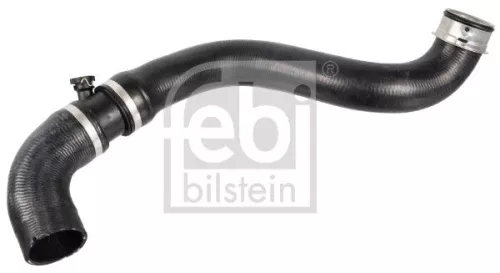 Radiatorslang FEBI BILSTEIN 172431)