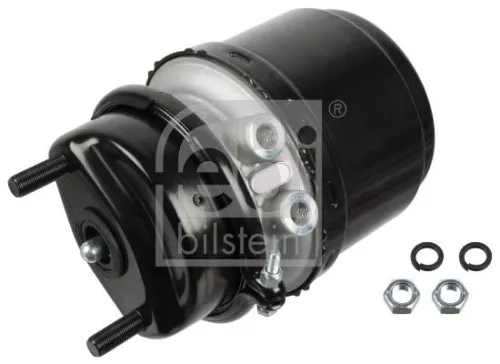 Spring-loaded Cylinder FEBI BILSTEIN 174001)