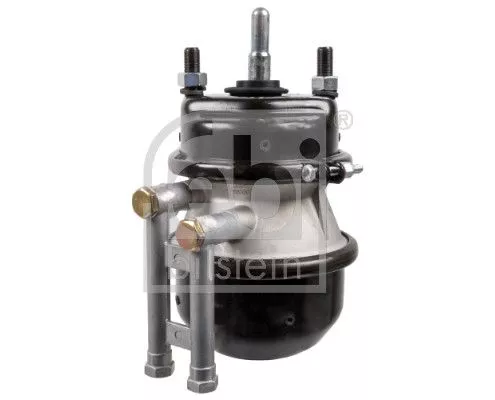 Spring-loaded Cylinder FEBI BILSTEIN 174002)