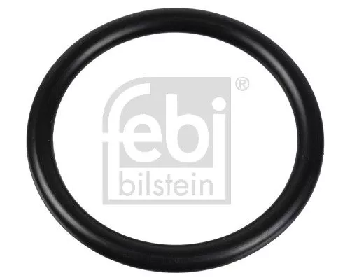 Afdichting, thermostaat FEBI BILSTEIN 174322)