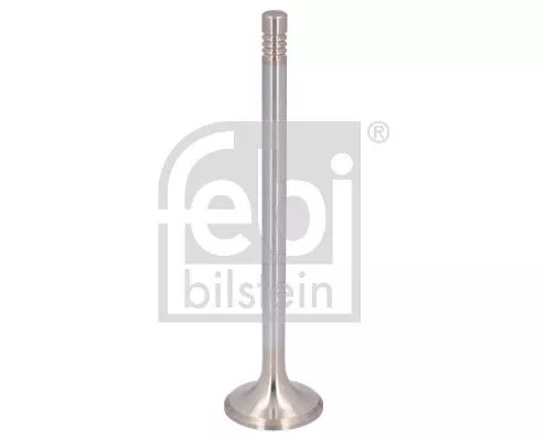 Uitlaatklep FEBI BILSTEIN 179175)