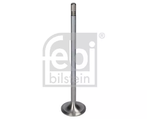 Inlaatklep MAXGEAR 181641)