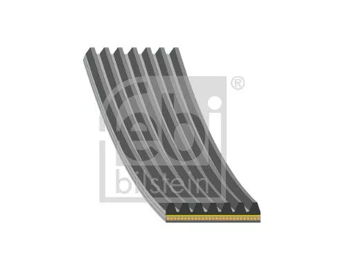 V-ribbed Belt FEBI BILSTEIN 182992)