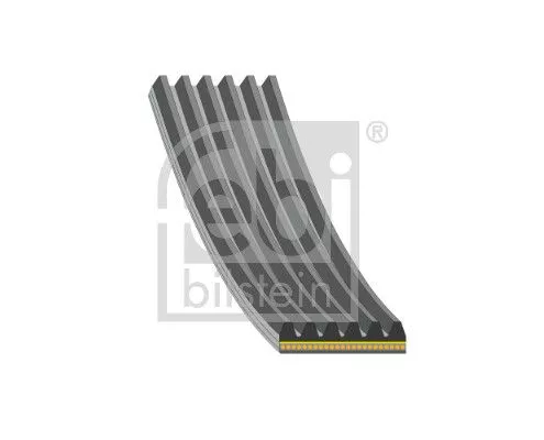 V-ribbed Belt  183221)